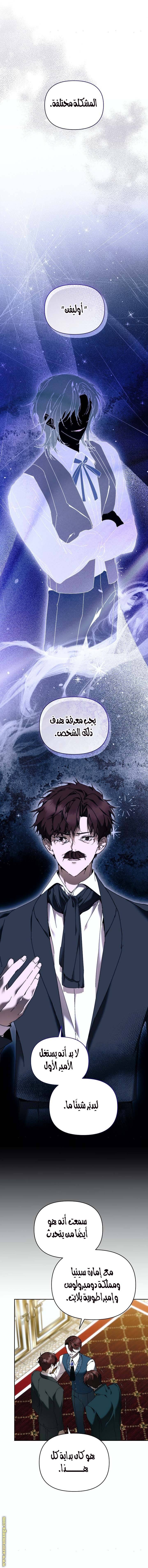 الصفحة 3