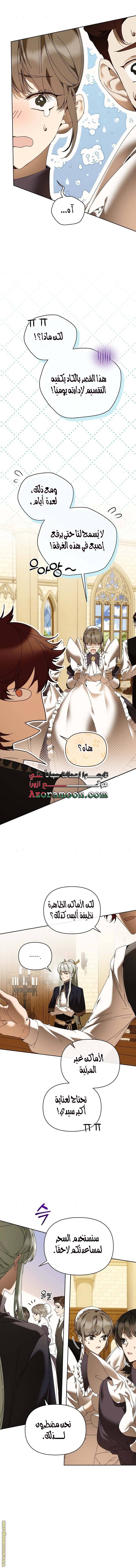 الصفحة 17