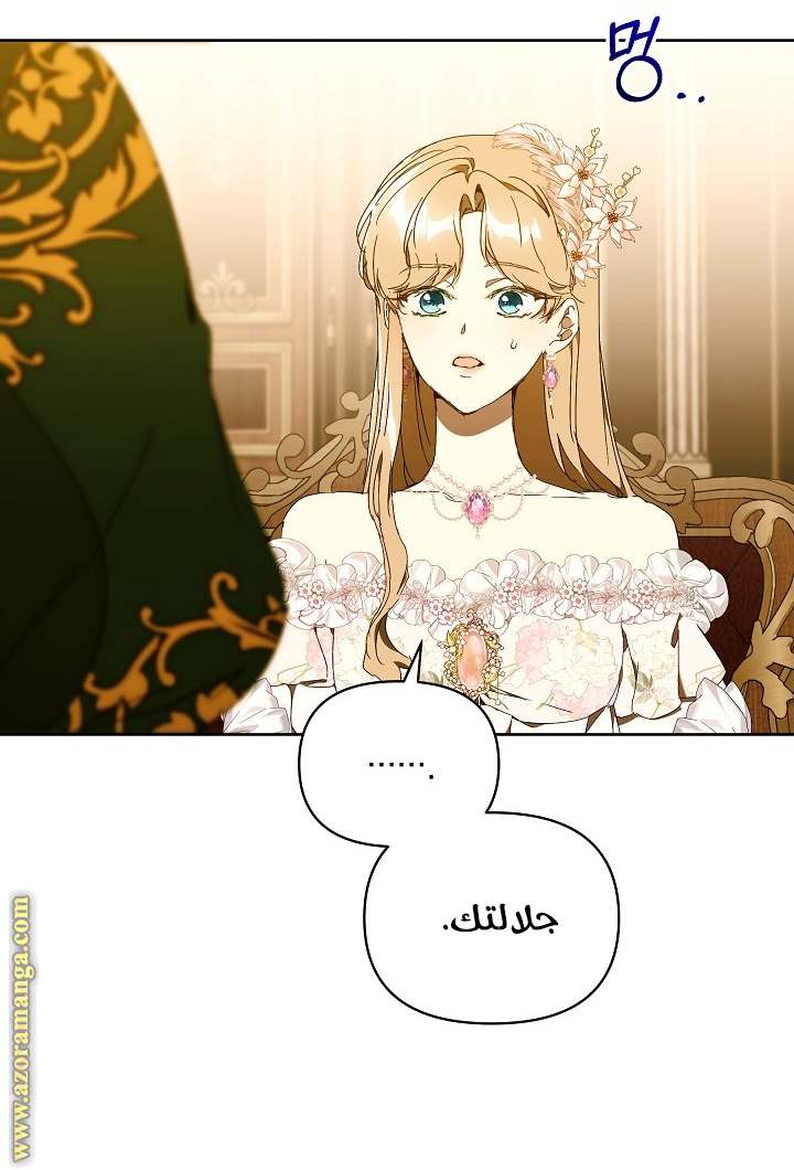 الصفحة 29