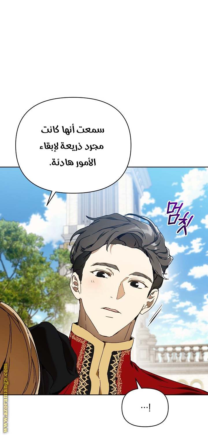 الصفحة 47