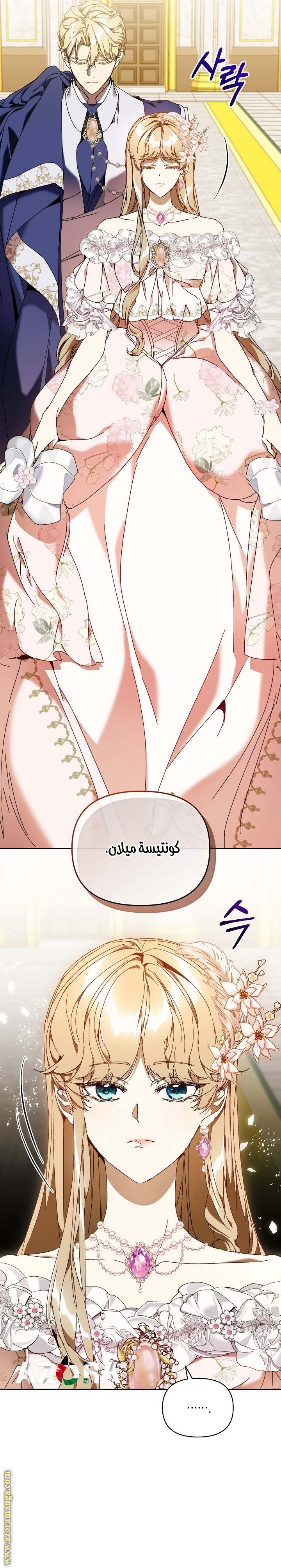 الصفحة 15