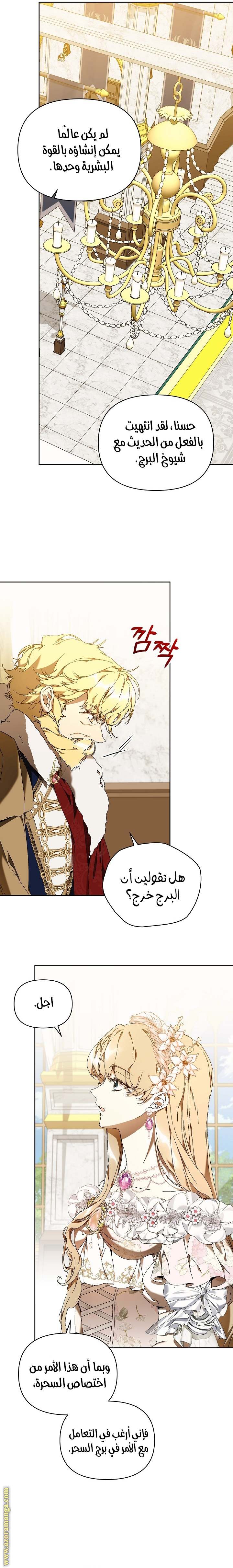 الصفحة 17