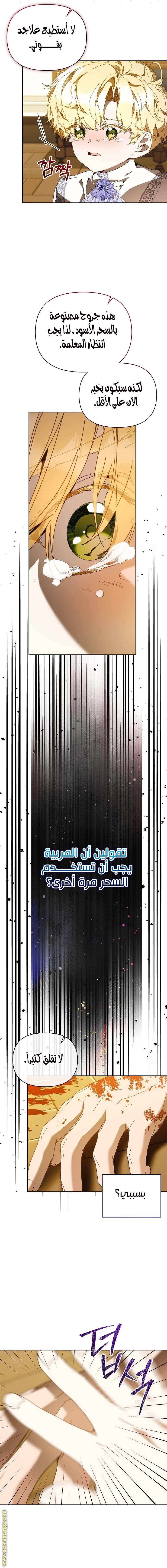 الصفحة 20