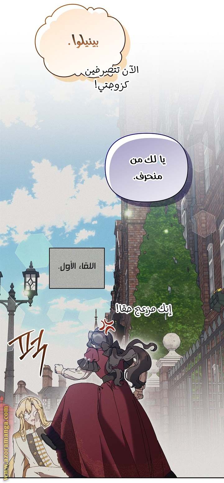 الصفحة 17