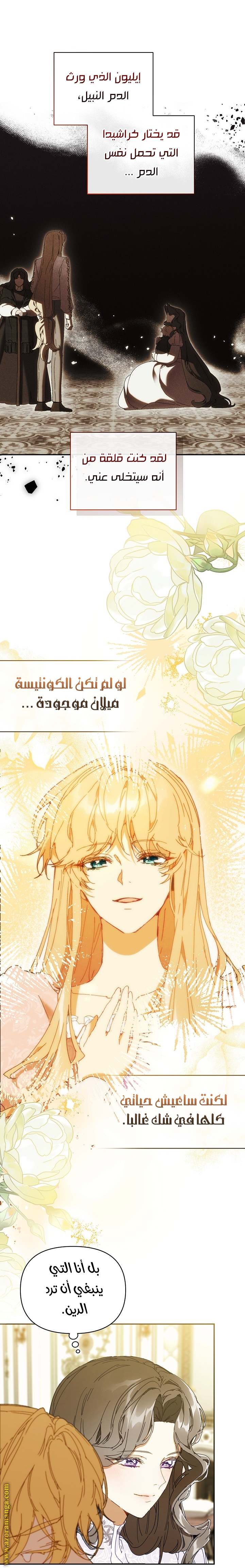 الصفحة 19