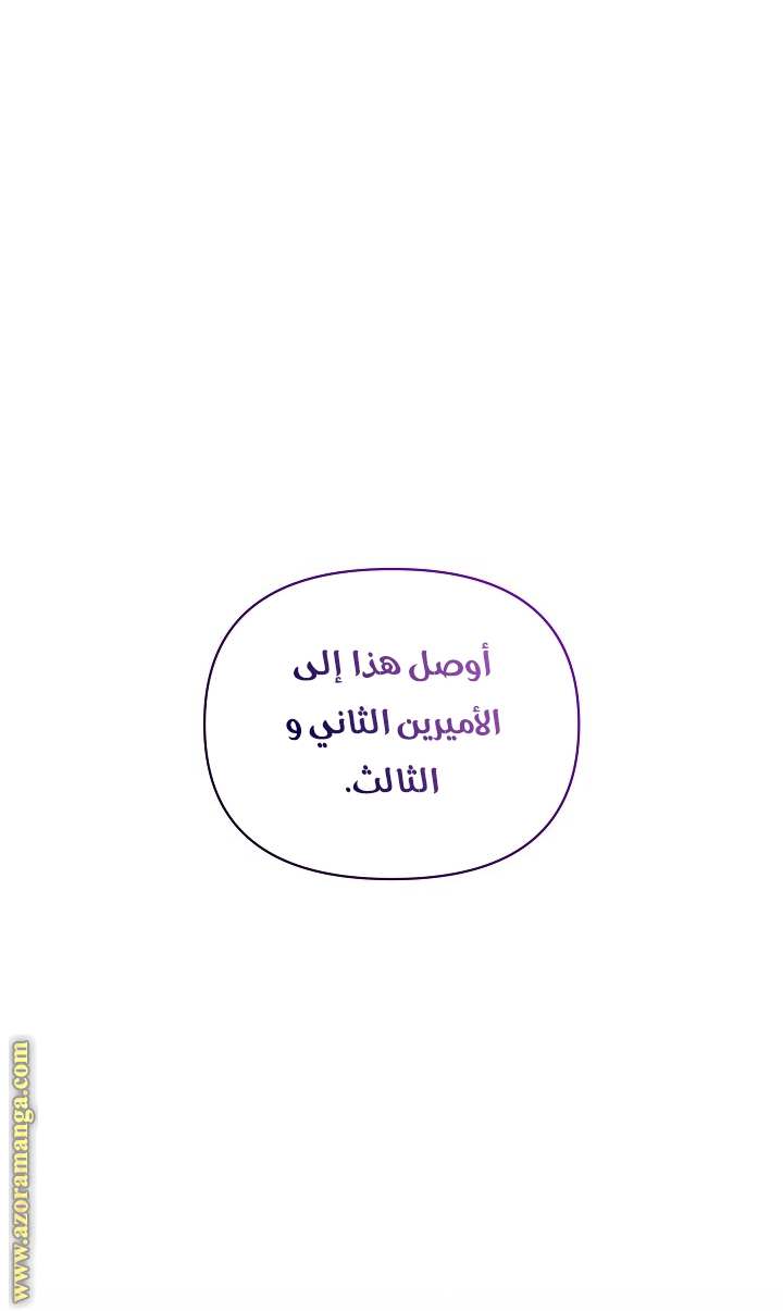 الصفحة 43