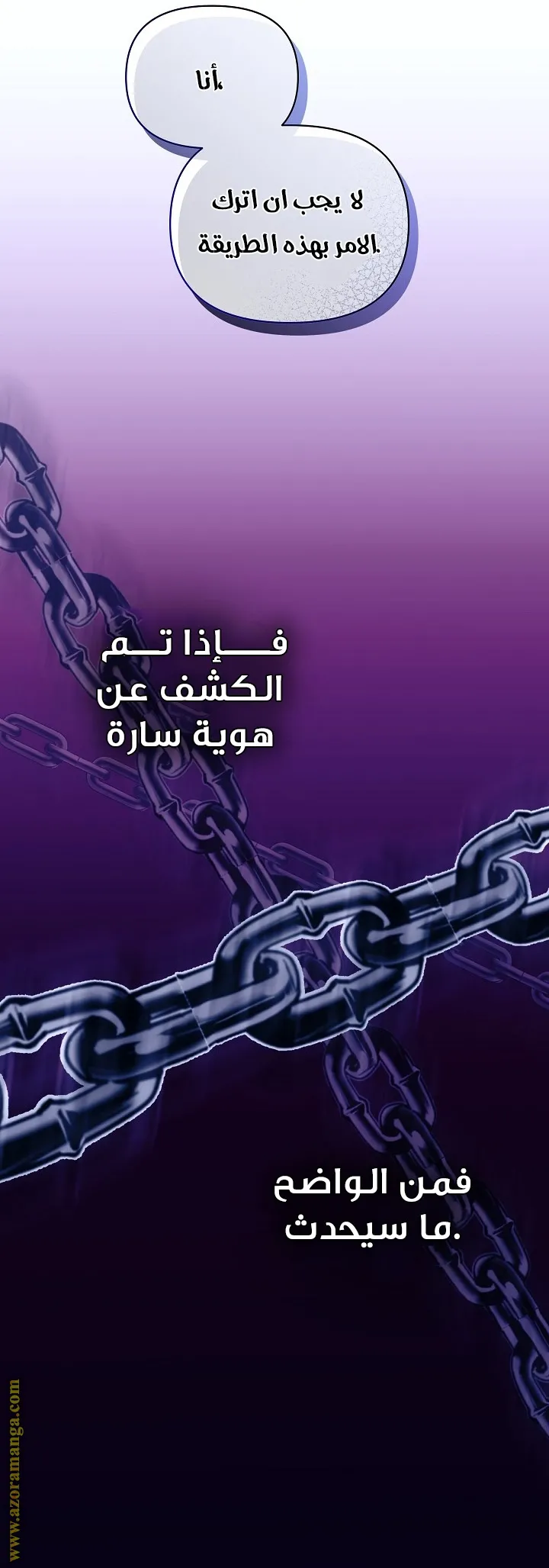 الصفحة 29