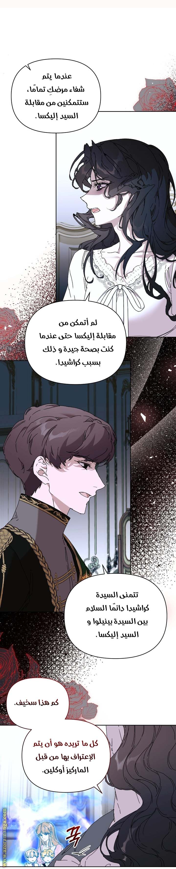 الصفحة 27