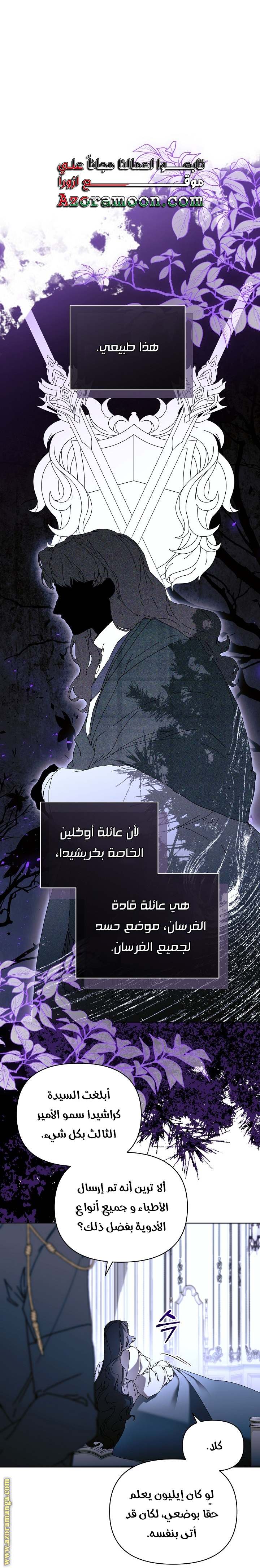 الصفحة 29