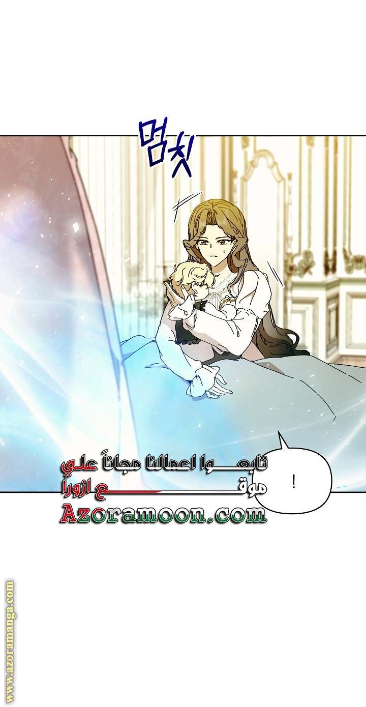 الصفحة 48