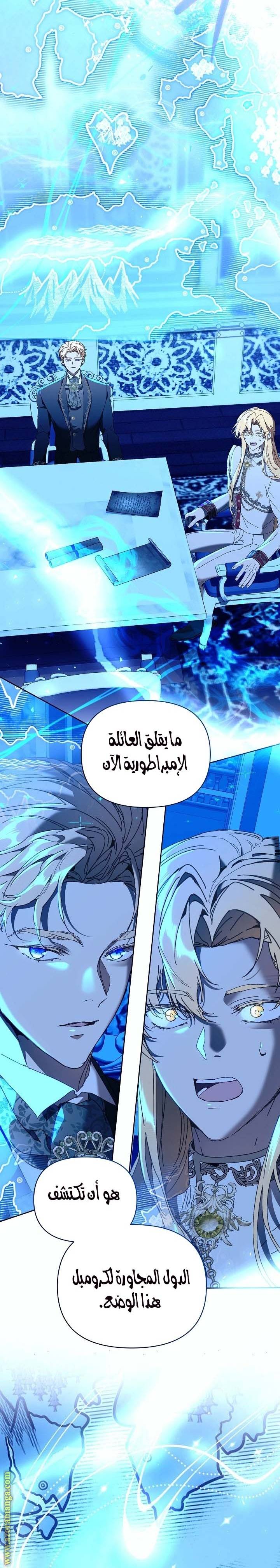 الصفحة 17