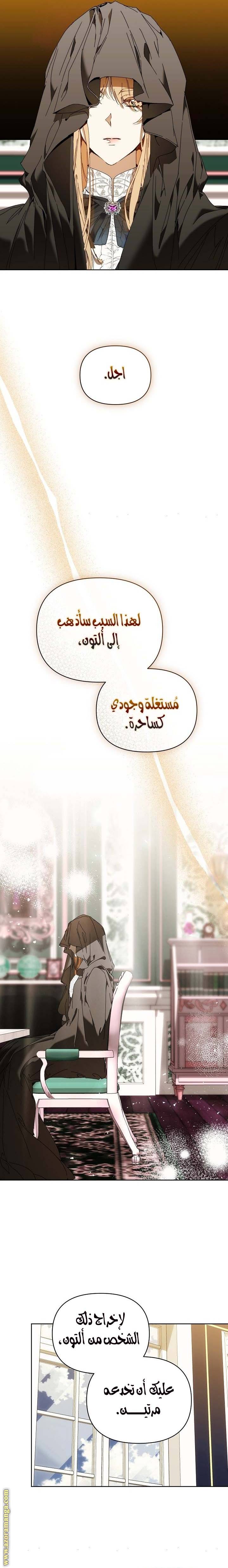 الصفحة 21