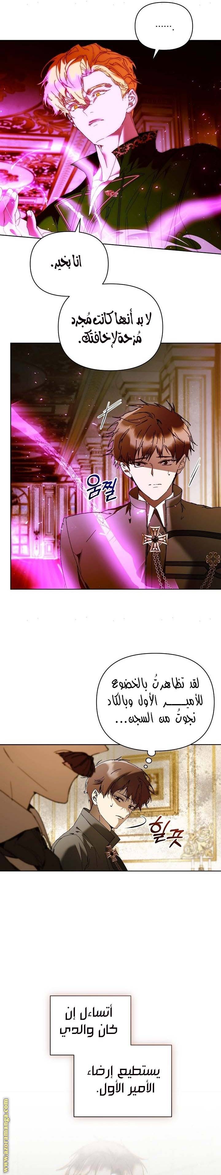 الصفحة 27