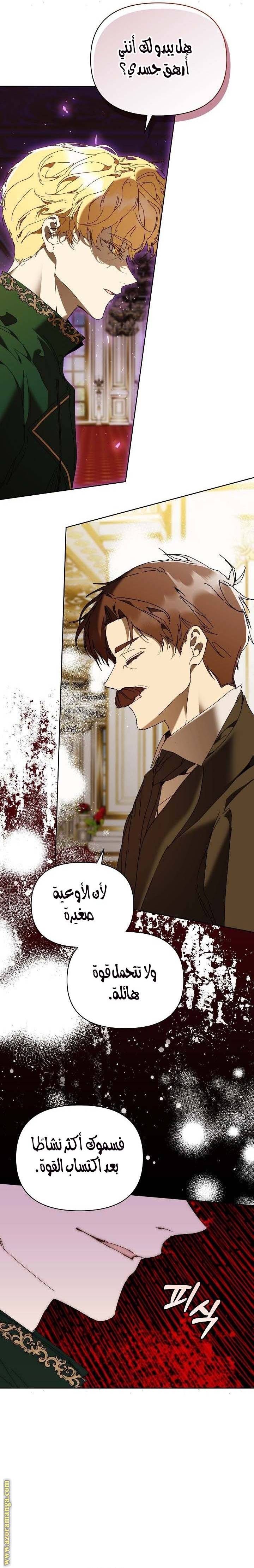 الصفحة 29