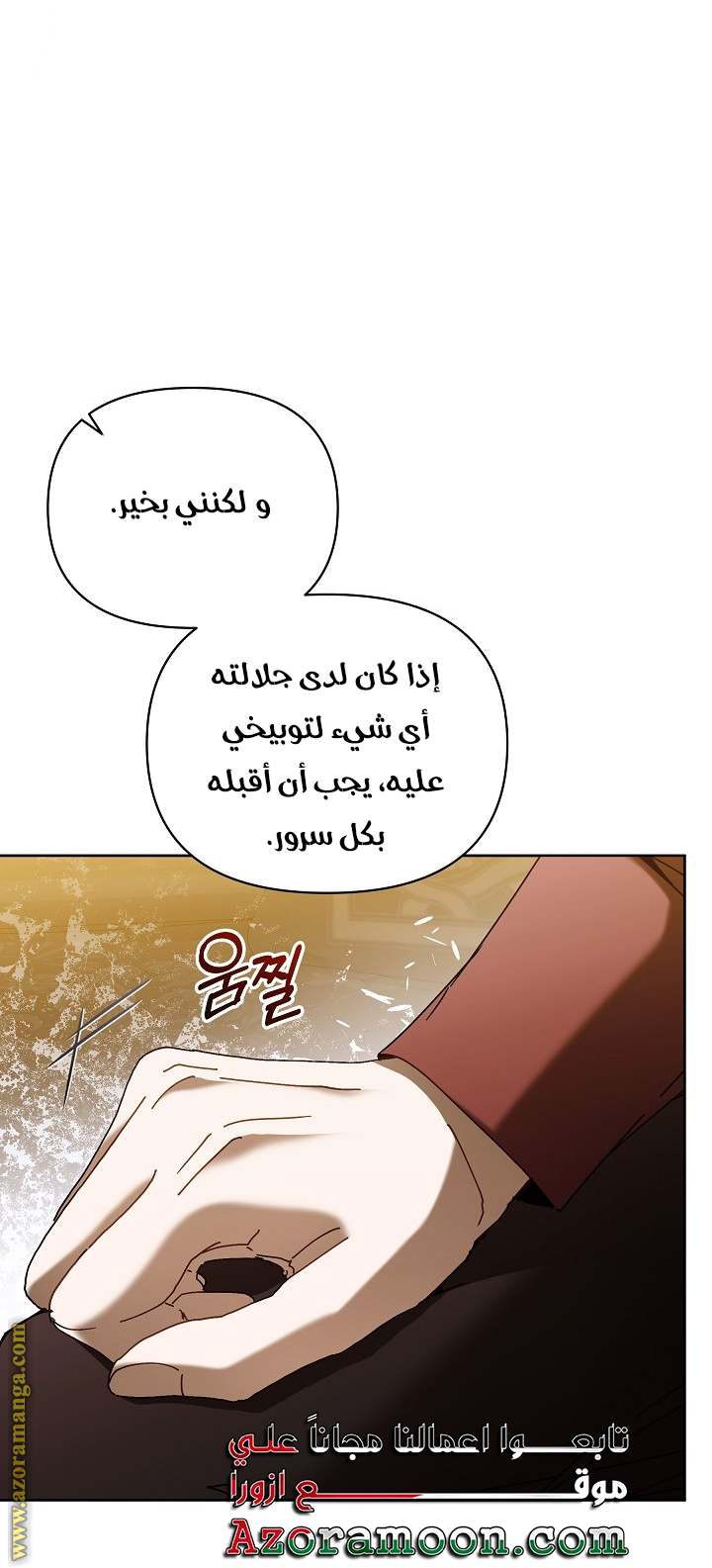 الصفحة 13
