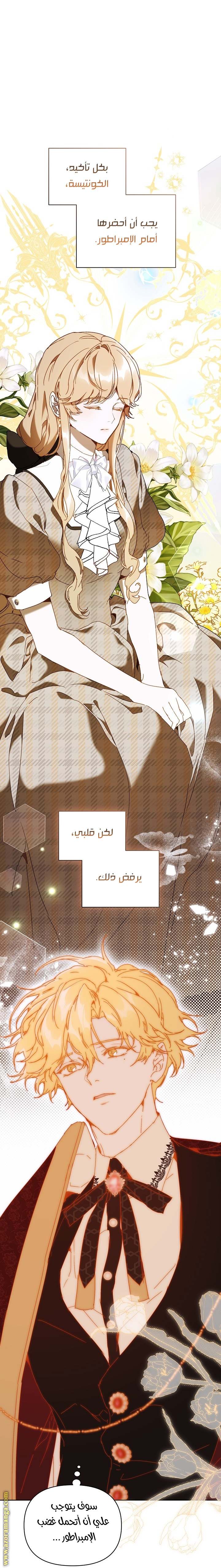 الصفحة 14