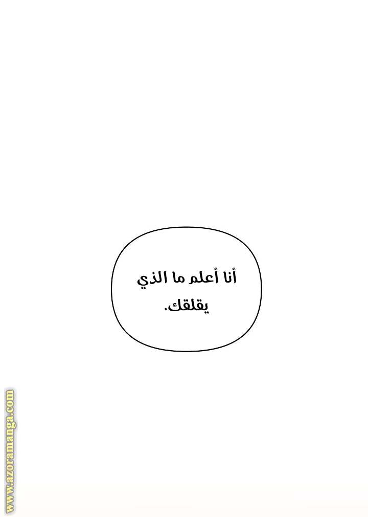الصفحة 26
