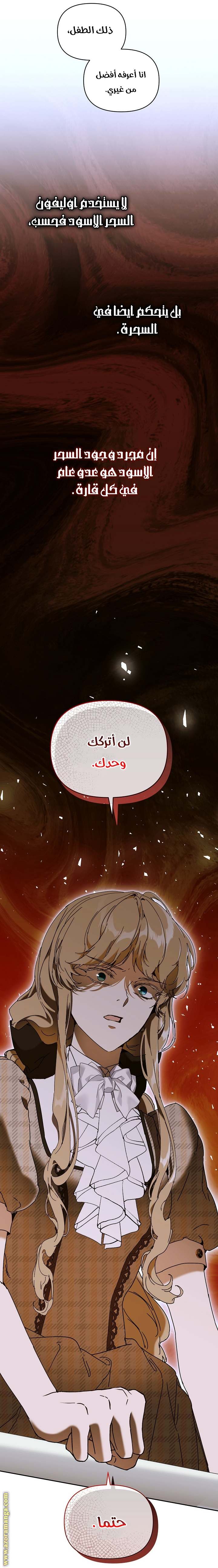 الصفحة 29