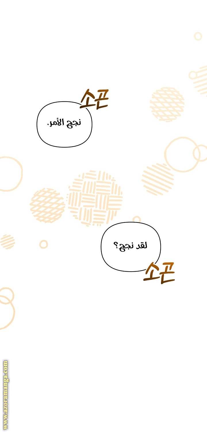 الصفحة 52