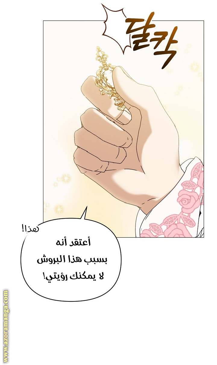 الصفحة 61