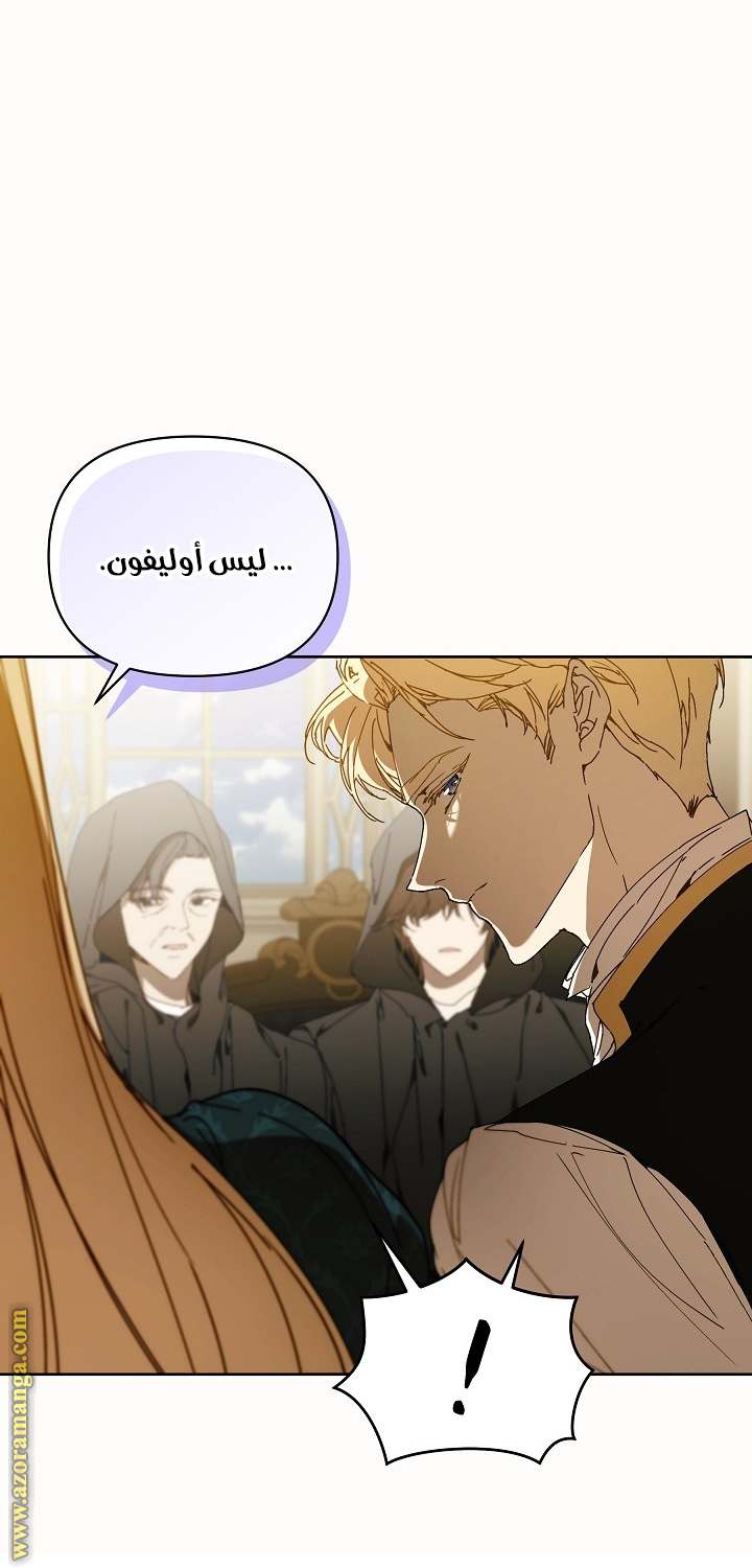 الصفحة 26