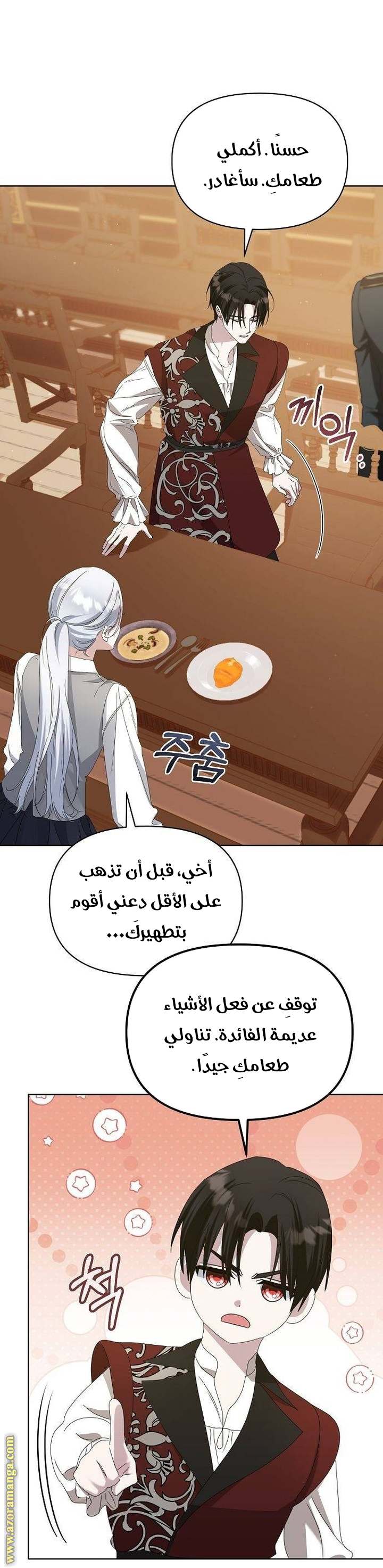 الصفحة 19