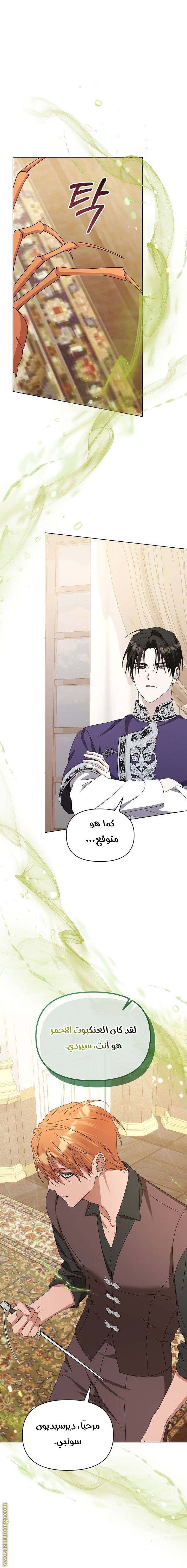 الصفحة 16