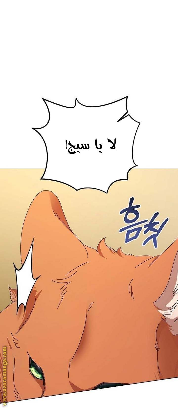 الصفحة 32