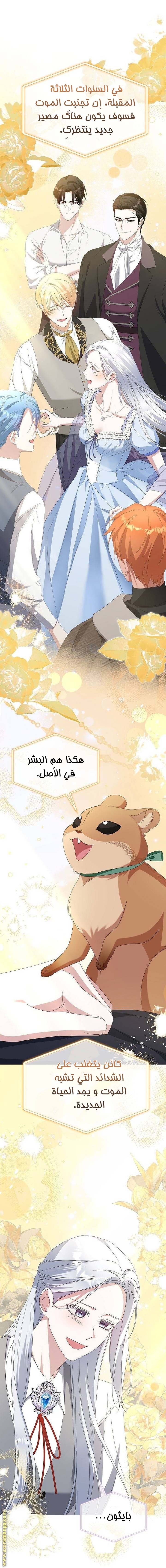 الصفحة 19
