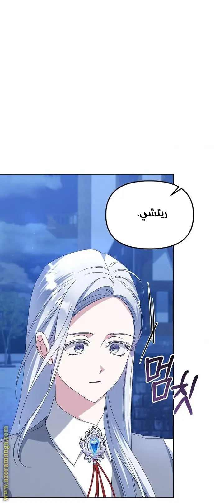 الصفحة 29