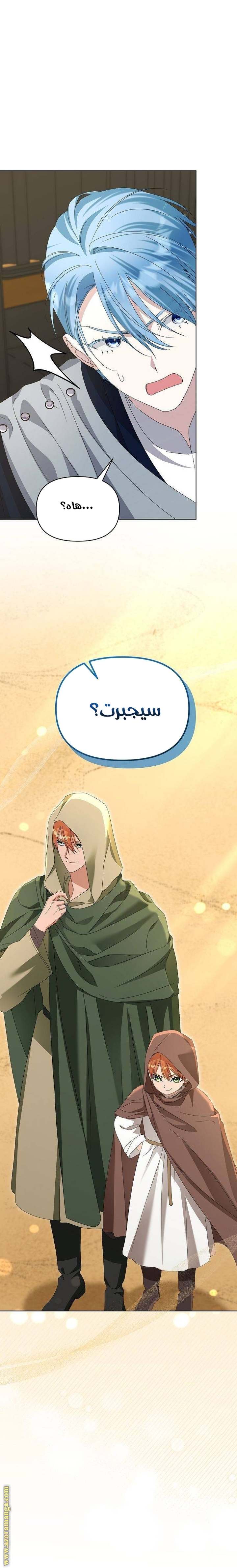 الصفحة 17