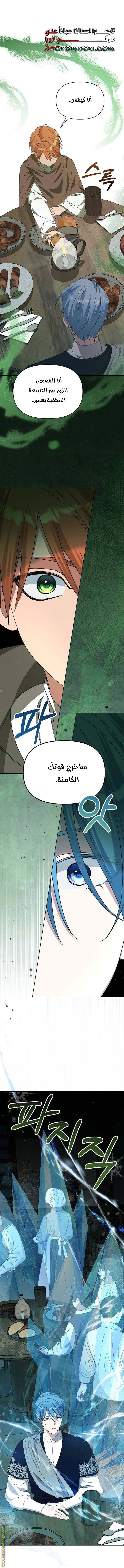 الصفحة 27