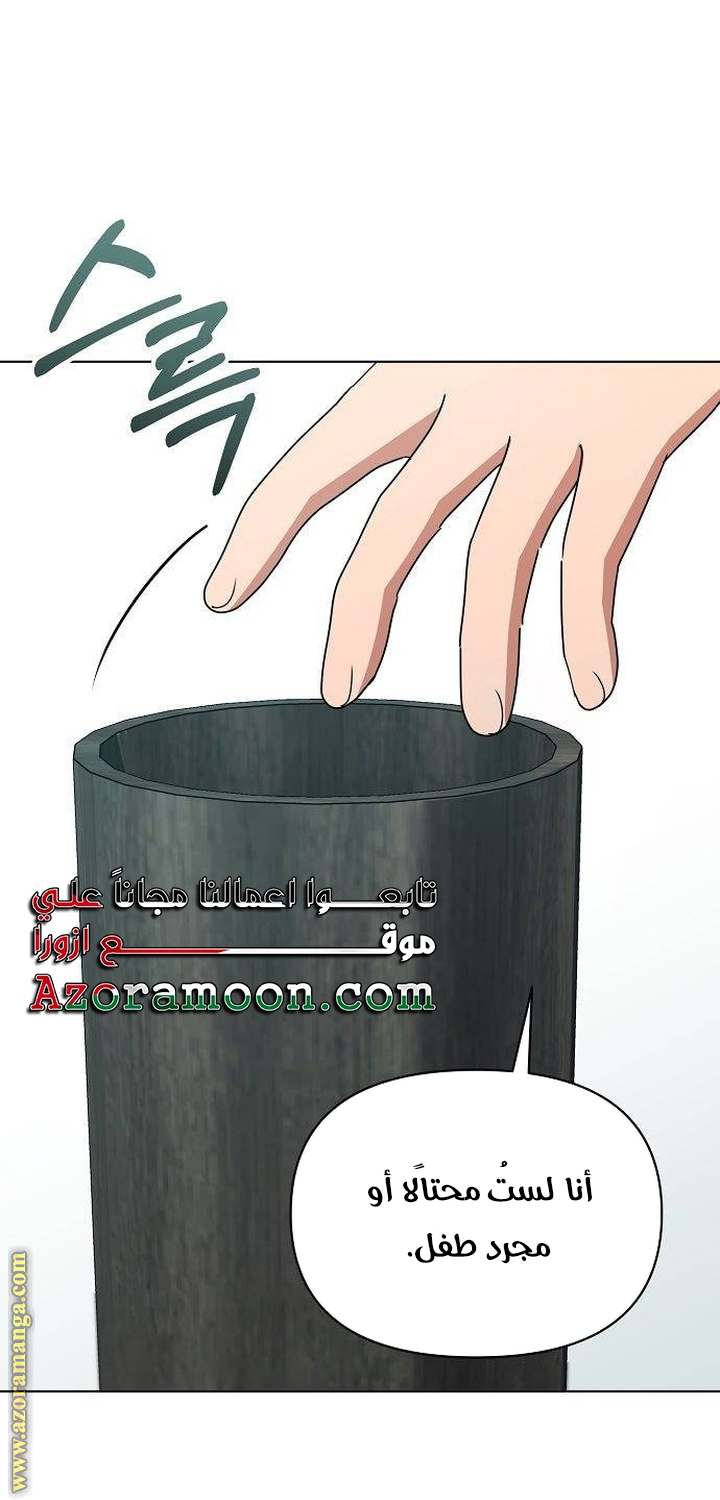 الصفحة 31