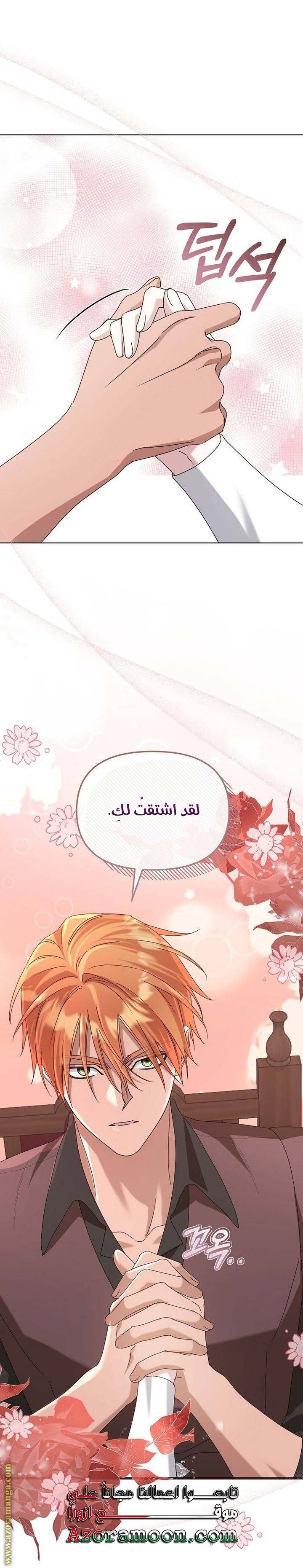 الصفحة 26