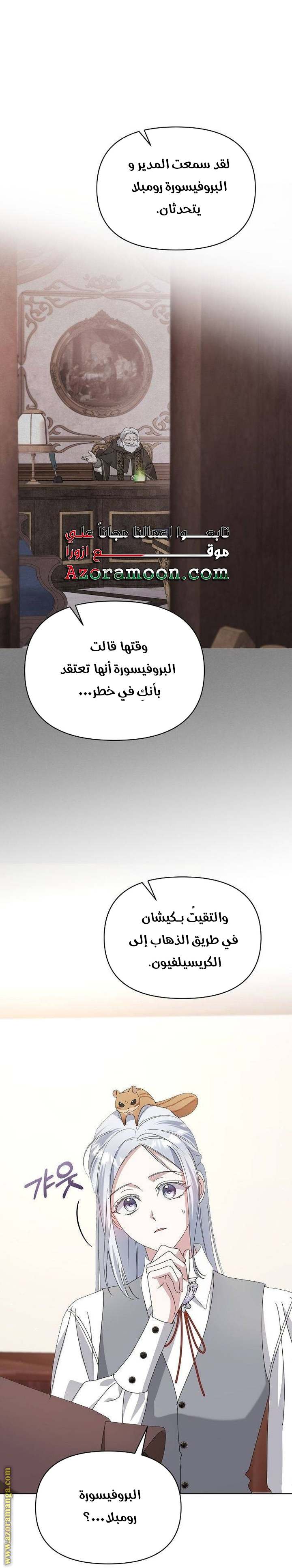 الصفحة 29