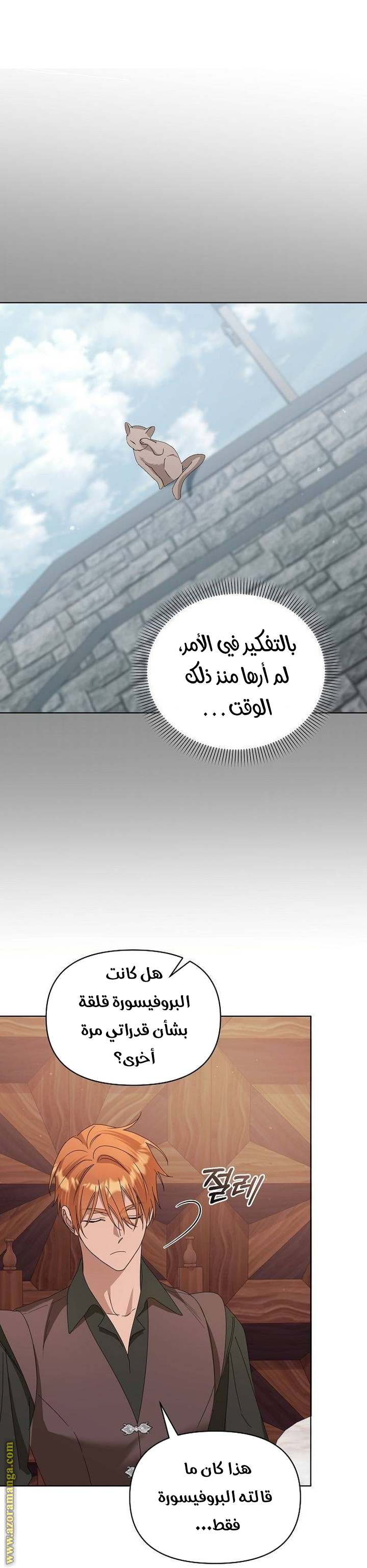 الصفحة 30