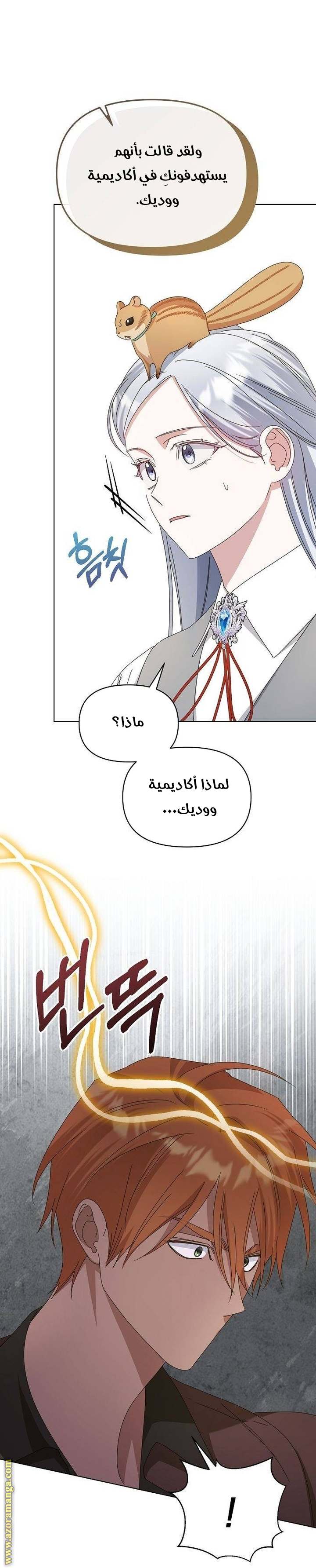 الصفحة 31