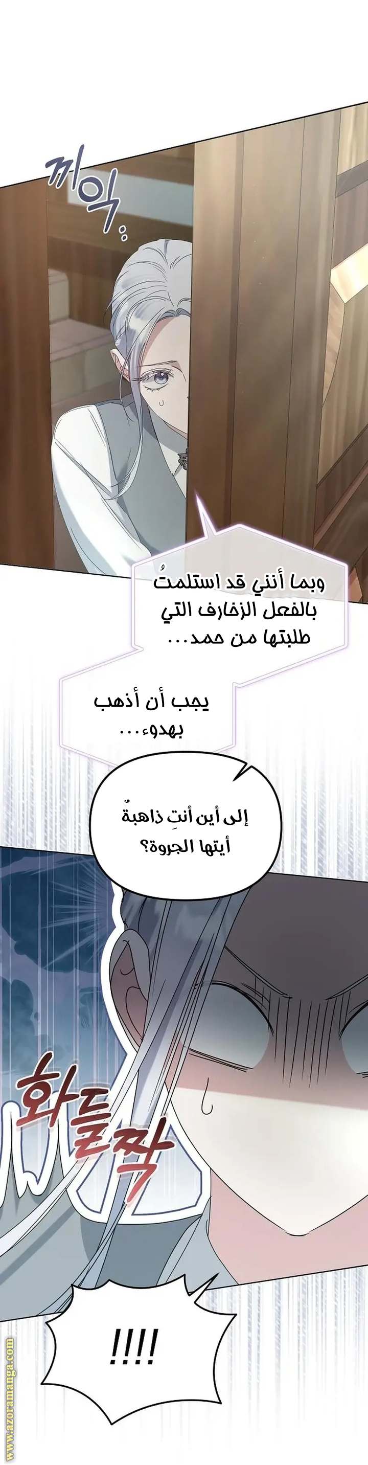 الصفحة 27