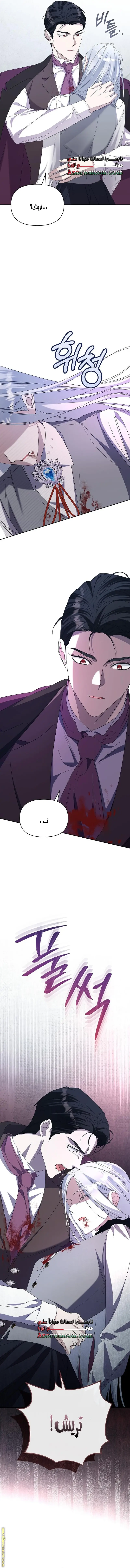 الصفحة 8