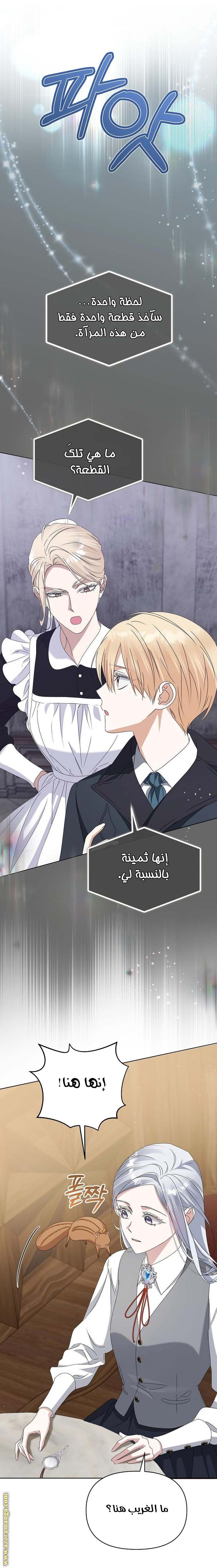 الصفحة 26