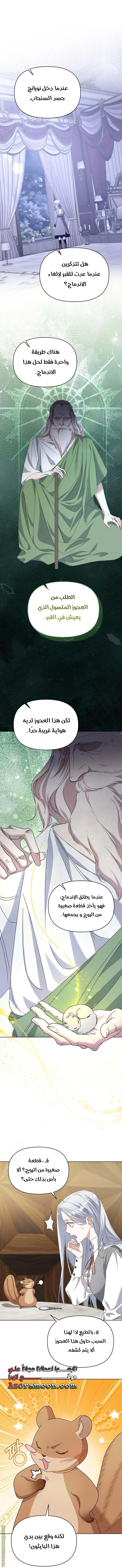 الصفحة 38