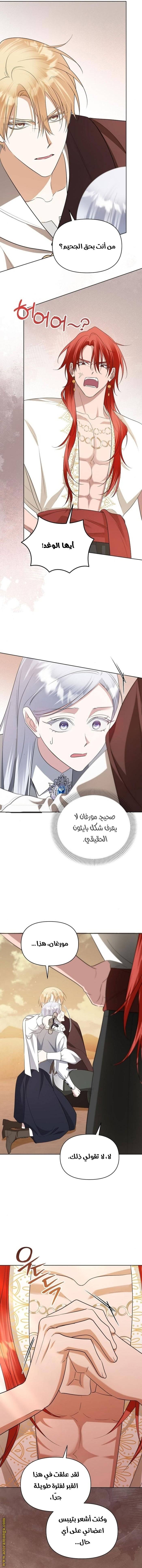 الصفحة 13