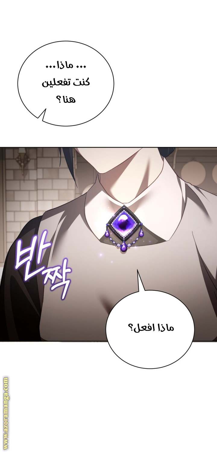الصفحة 27