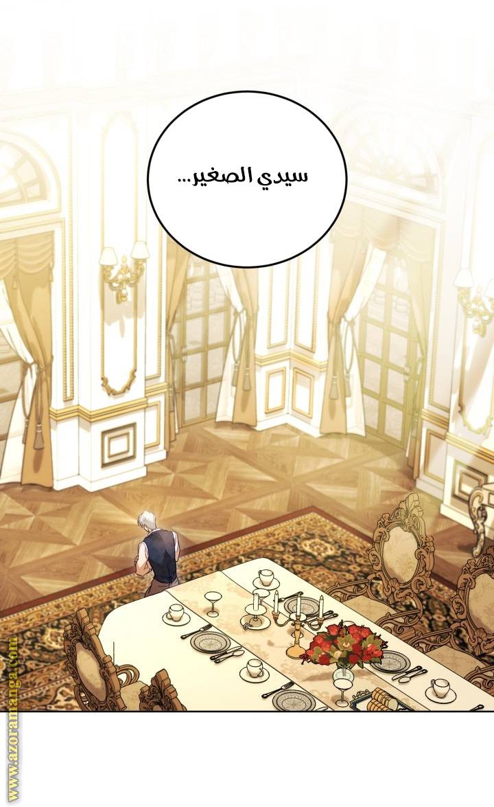 الصفحة 17
