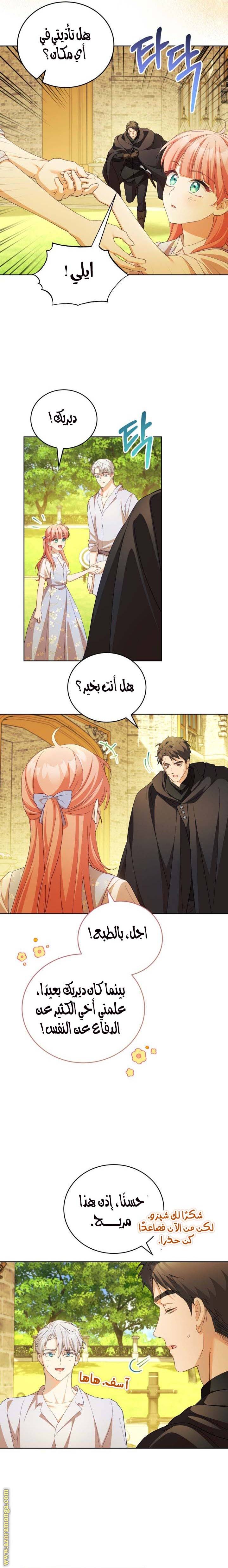 الصفحة 17