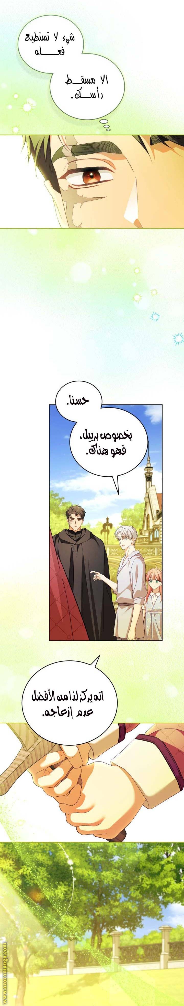 الصفحة 19