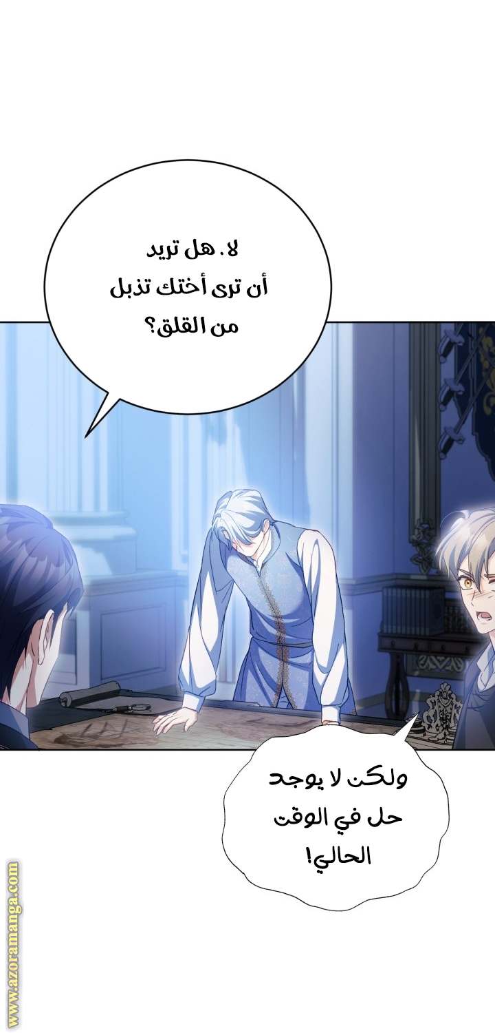 الصفحة 29