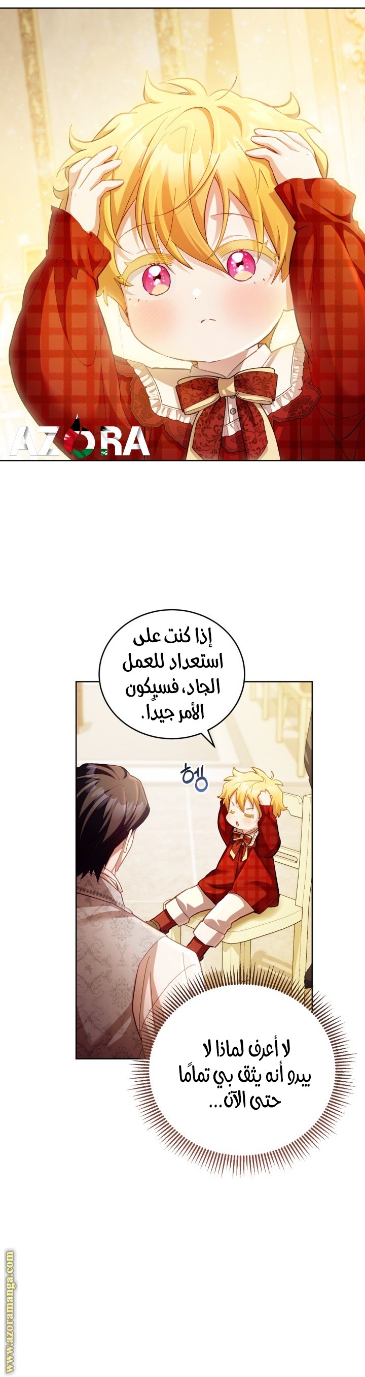 الصفحة 25