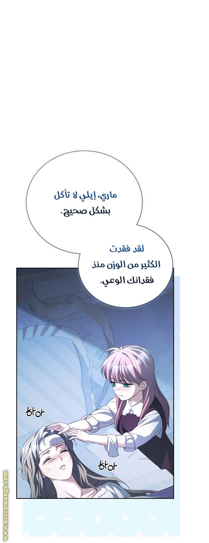 الصفحة 12