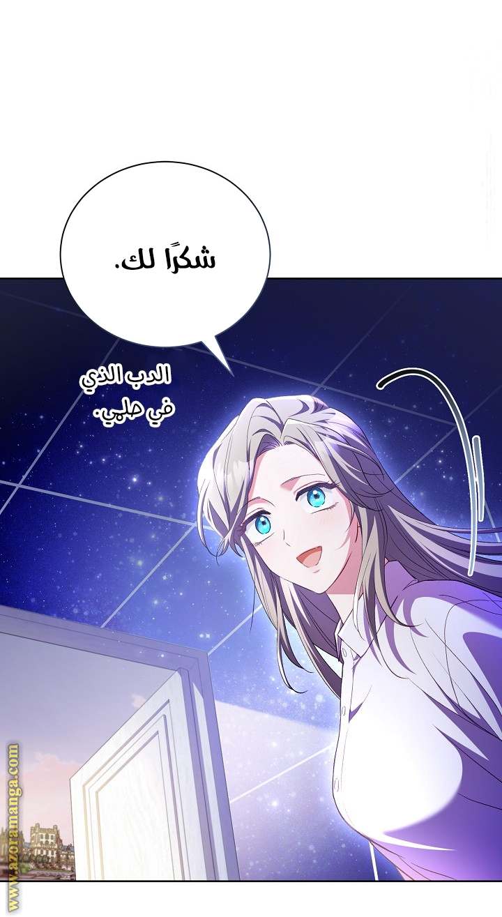 الصفحة 41